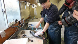 [위기를 기회로] 블로그 시작 7년 만에 170억 투자 유치! 더파이러츠 윤기홍 대표 인터뷰