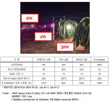 썬웨이브, 열대작물 ‘용과’ 생산량 늘리는 ‘LED 개화 유도등‘ 베트남 대량 수출