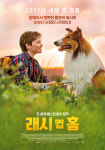 [리뷰] ‘돌아온 래시’를 영화화한 가족 드라마, 영화 ‘래시 컴 홈’