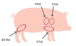 돼지고기 맛을 좌우하는 비결! 최적의 구이 부위와 온도는?
