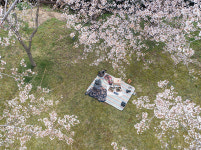 봄캉스 떠날까? 봄맞이 피크닉 즐기러 가기 좋은 호텔