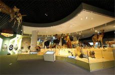 낙동강생물자원관, 여름방학 맞이 야간 무료 개방