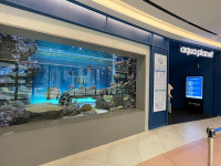 역사 공부와 맛집 탐방, 호캉스까지... 수원에서 한번에!