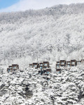 접근성이 뛰어난 서울 근교에 있는 ‘설(雪)세권’ 리조트 3곳