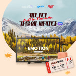 지니 TV 캐나다로 떠나는 가을 로드트립 여행 프리티켓 드려요