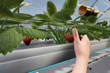 [미리보는 TAS 2024] “딸기도 수확”… 지니소프트, 메타버스 스마트팜 체험 연다