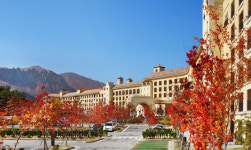 2024년, 온라인에서 가장 핫했던 리조트는? 한화리조트 2년 연속 1위