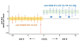 당뇨·고혈압 환자, 신장 관리 타이밍이 생존율 갈랐다