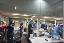 홍금 동물병원, 분당에 구조 동물 전문병원 개원