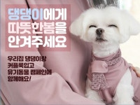 OEO 프로젝트, 유기동물보호쉼터 돕는 커플룩 크라우드 펀딩 통해 공개