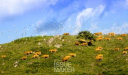 [한국의 도시 서산시] 서산시 포토스토리