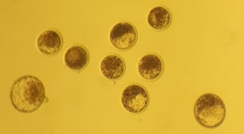 축산업과 낙농 식품 시장 발전에 이바지하고파