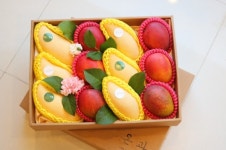 따뜻한 마음을 담은 프리미엄 과일 온과