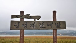 JSA공동경비구역부터 오 문희까지 영화가 선택한 대한민국 대표 갈대숲