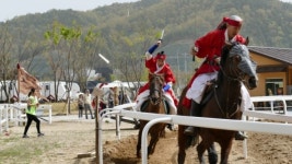 4월의 고령, 찬란한 대가야시대로 시간여행