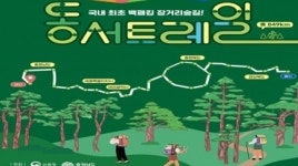 코레일관광개발, 산림청과 동서트레일 1~4구간 개통기념 안면도 소나무 숲길 연계 기차여행 상품 선봬