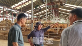 [이슈]  진천군, 강력한 에어제트팬으로 우사 고온피해 예방  外