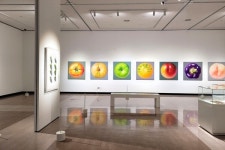 무주에서 만나는 한운성 작가의 과일 시리즈