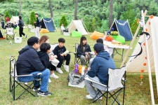 장성군, 전국 최대 잔디 생산지 삼서면서 20일 잔디 축제 연다