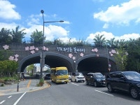 강동구, 강일생태육교 경관개선사업 완료