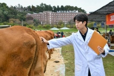 영주시 주최 경북한우경진대회, 성황리 개최