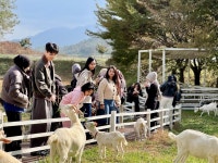 남원시, 유학생 프로그램으로 글로벌 교육 도시로