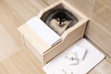 쉐라톤 그랜드 인천, 펫캉스 리뉴얼로 반려견 스파 강화