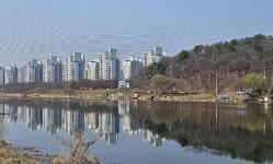 사유지 아닌 구민 자산 대구 북구, 불법시설물에 행정대집행 칼날