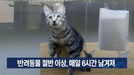 반려동물 절반 이상, 매일 6시간 남겨져