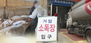강원 인제서 ASF 추가 발생…양돈농가 긴급 차단방역