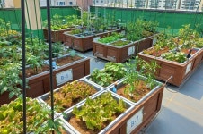 교회 벽은 태양광 패널, 옥상엔 텃밭까지