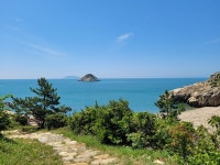 순례자의 길, 한국의 산티아고 청산도를 걷다