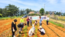 원산도서 제2회 귀츨라프 성령감자수확 감사예배