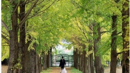 내일 오전부터 완연한 가을날씨…일교차 조심하세요