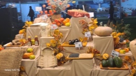 새은혜교회, 감사절 3주간 걸쳐 감사의 의미 되새기다