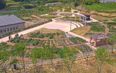 정읍시 왕솔밭 공동체 정원 텃밭 분양 성황리에 마감