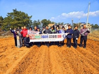 세직선, 3회 원산도 귀츨라프 감자심기 대회 개최