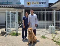 상처 입은 생명들의 희망…구조동물 전문 홍금동물병원