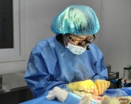 상처 입은 생명들의 희망…구조동물 전문 홍금동물병원