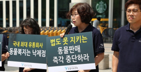 동물보호단체 표적 된 이마트...반려동물 브랜드 몰리스 펫샵 영업 준수 미달