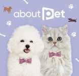 GS리테일이 어바웃펫 물류센터 접은 내막