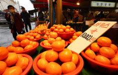 생산자물가 3개월 연속 상승…감귤값 2.5배↑