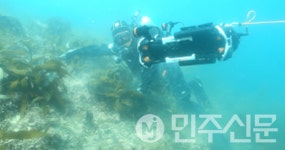 한국수산자원공단 남해본부, 고수온 대응 바다숲 조성해역 점검 실시