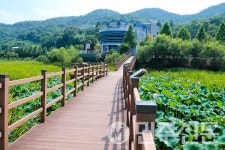 경남 합천군, 정양늪 생태학습관 추석 연휴 휴관 안내