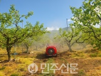 김해시 단감농가 방제 지원 신청 접수