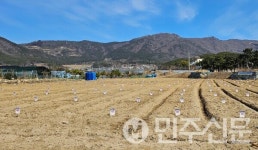 경남 거제시 도시민 주말농장 분양 시작! 선착순 179개소 모집