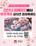 경북 김천 벚꽃길, 이제 실시간으로 확인하세요! CCTV 모니터링 서비스 운영