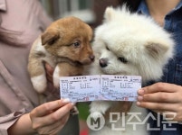 경남 사천시 반려동물 등록, 이제는 카드형으로!