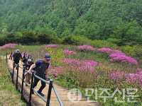 전북 남원시, 제29회 지리산 운봉 바래봉 철쭉제 성료