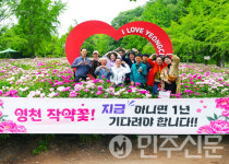 경북 영천시 화북면 작약꽃 나들이 성황, 농업·관광 융합 성공사례로 주목